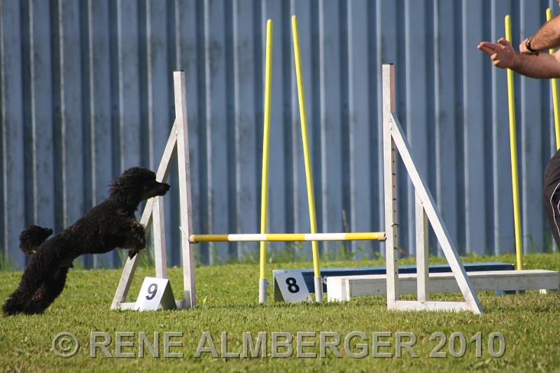 Bild 159.jpg